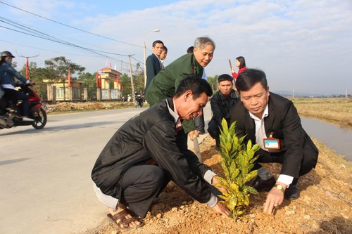 По всему Вьетнаму проходит праздник посадки деревьев - ảnh 1